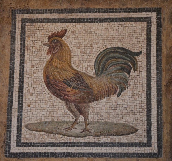Ancient Roman mosaic of a rooster. Image commons.wikimedia.org.
